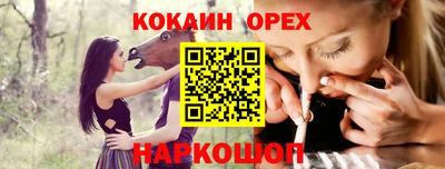 трава Сланцы