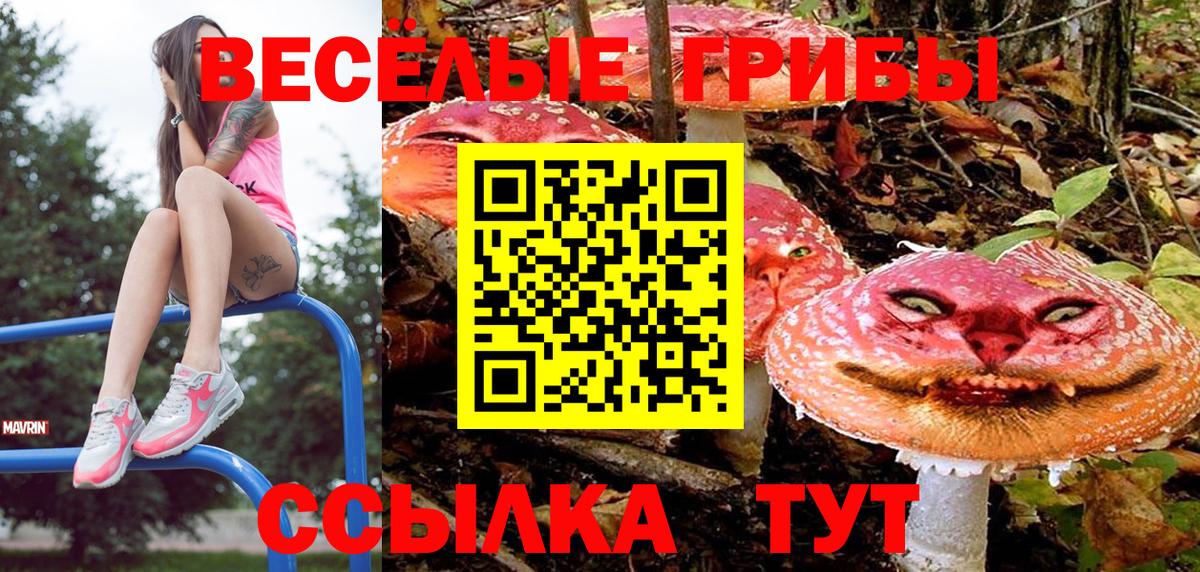 Галлюциногенные грибы MAGIC MUSHROOMS  Псилоцибиновые грибы Psilocybe  Вход с VPN  Соликамск 
